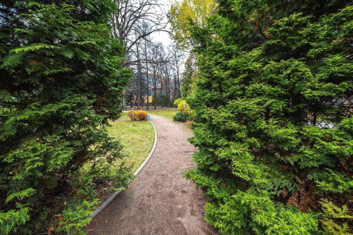 Школа Новый взгляд - Москва