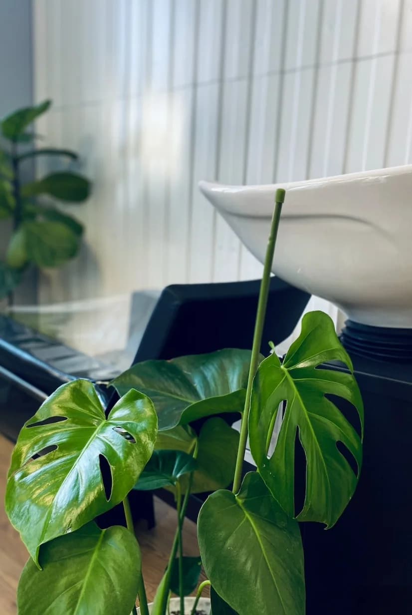 Салон красоты Ldky - Санкт-Петербург