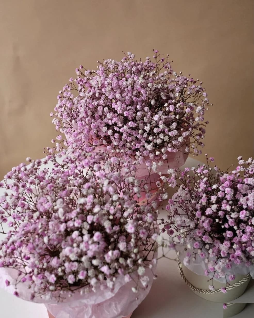 Цветы Only flowers - Санкт-Петербург