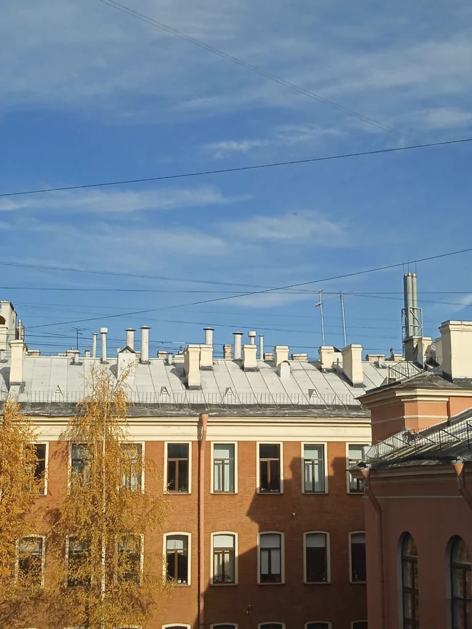 Школа Средняя общеобразовательная школа №77 Петроградского района - Санкт-Петербург