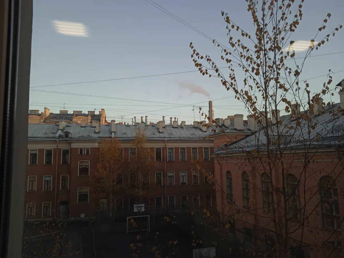 Школа Средняя общеобразовательная школа №77 Петроградского района - Санкт-Петербург