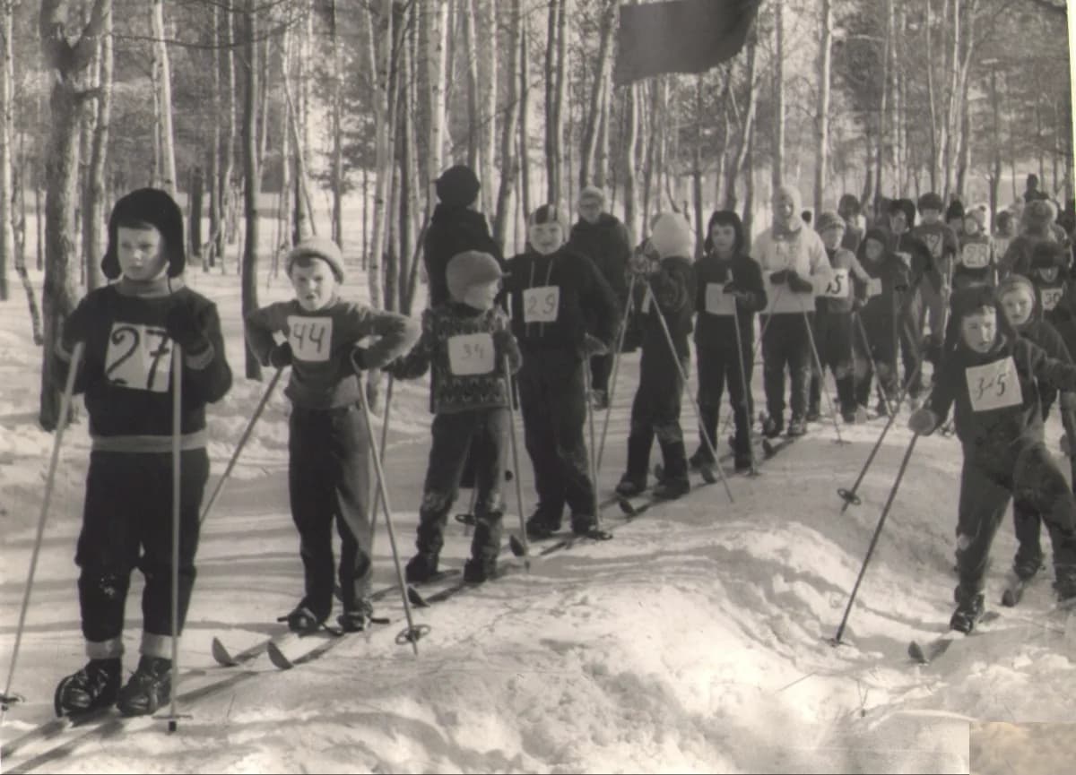 Школа Школа № 242 Красносельского района Санкт-Петербурга - Санкт-Петербург