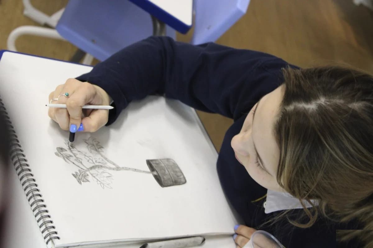 Школа The British School of St. Petersburg - Санкт-Петербург